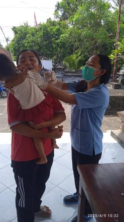 Posyandu, Posbindu, dan Poslansia Banjar Dinas Mawar 2025